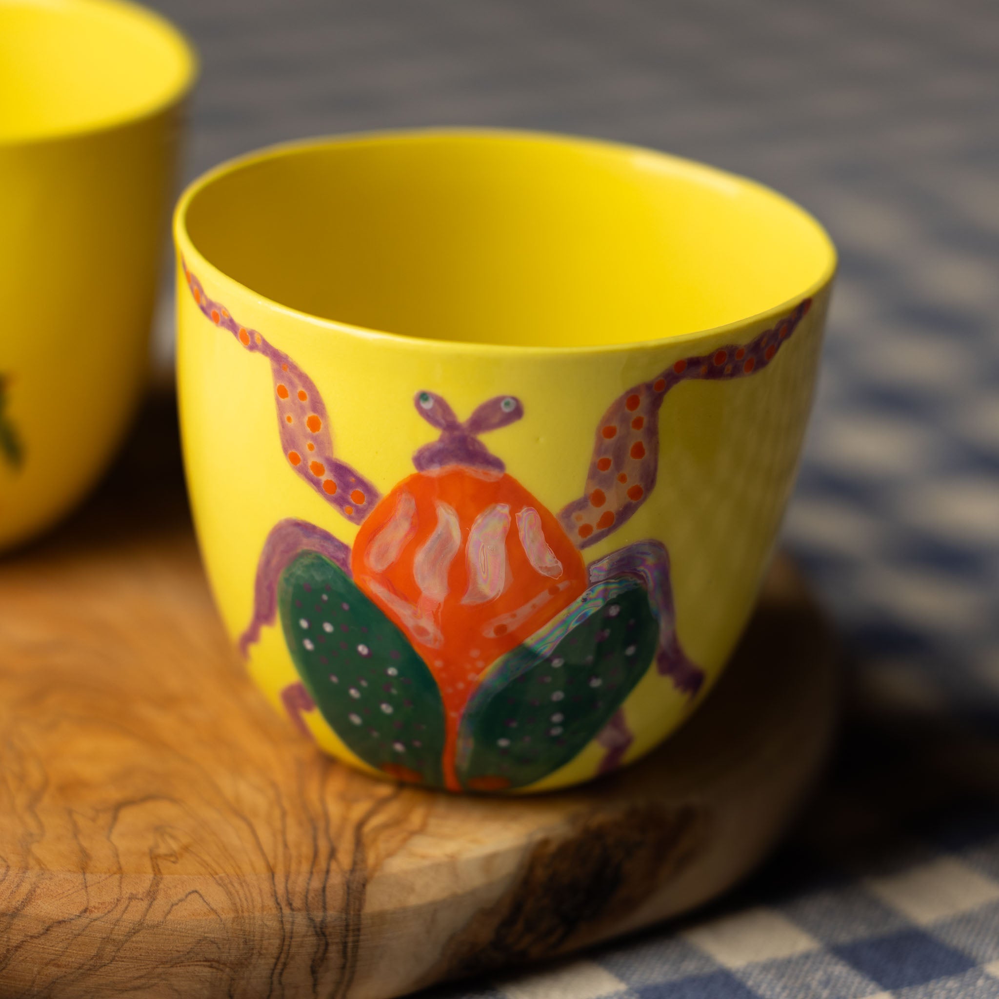 Solara